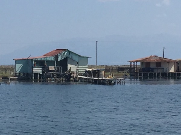 With Finn, Millie and Flemi through the Gulf of Corinth