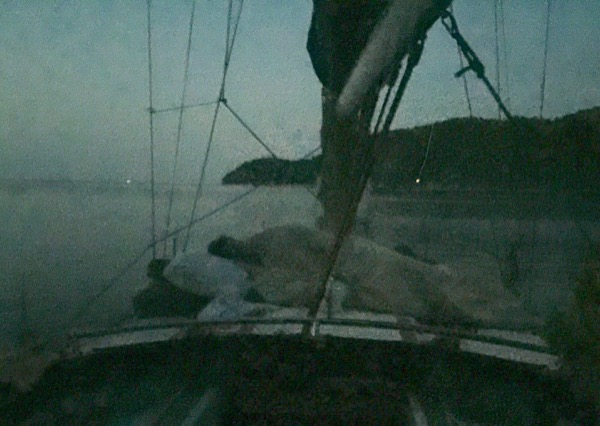 With Finn, Millie and Flemi through the Gulf of Corinth