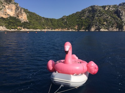 With Finn, Millie and Flemi through the Gulf of Corinth